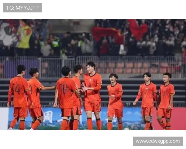 国家队备战世界杯预选赛新帅战术改革引发球迷热议媒体关注年轻球员表现