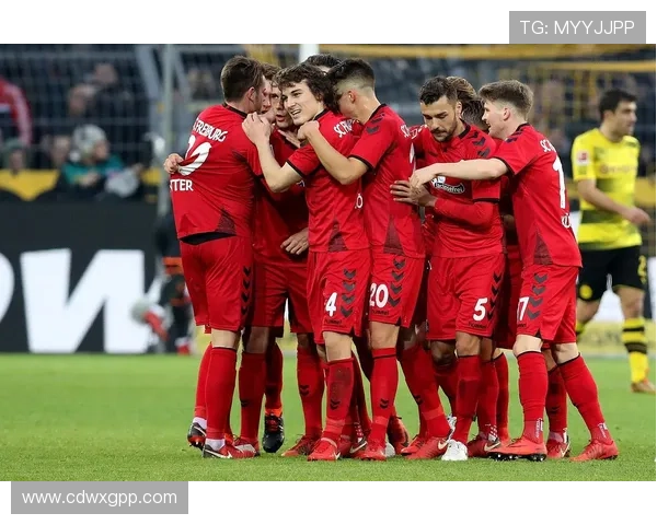 弗赖堡足球俱乐部发展历程与文化特色探索